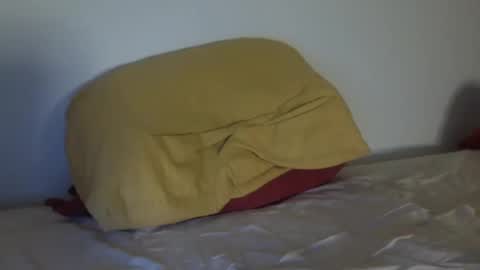 stan_hung online show from 8, 12, 2024