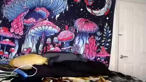 Snapshot of starvega1313 chatting on 4, 1, 2025 Star Vega online show from 4, 1, 2025