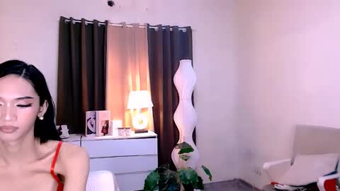 STEF online show from 28, 10, 2025