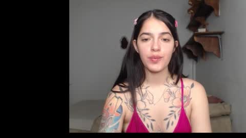 Stella online show from 12, 2, 2026