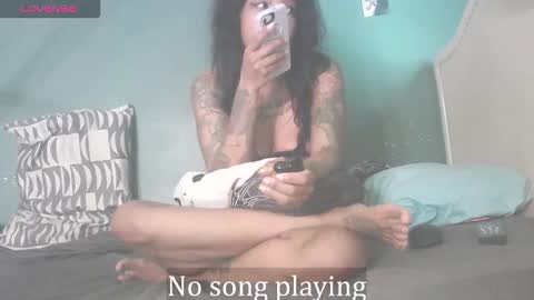 Stella Clitella online show from 30, 9, 2025