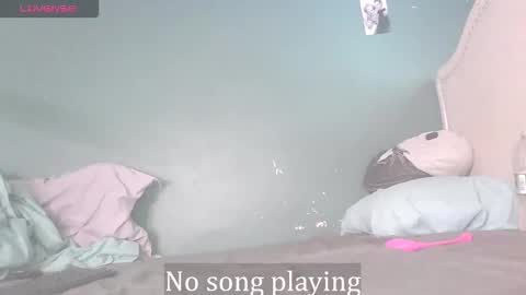 Stella Clitella online show from 21, 11, 2025