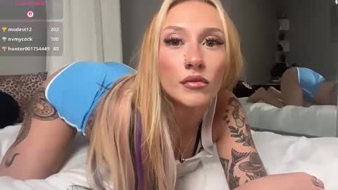 stellacorbet online show from 15, 11, 2025