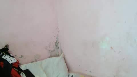 stellah2555 online show from 11, 3, 2026