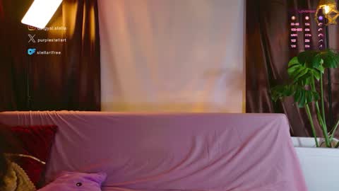 Snapshot of stellart_ chatting on 8, 5, 2026 stellart_ online show from 8, 5, 2026