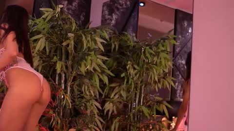 Steph online show from 13, 1, 2026