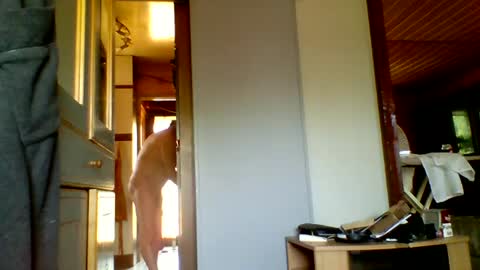 Snapshot of stevefromfrance chatting on 20, 7, 2026 stevefromfrance online show from 20, 7, 2026