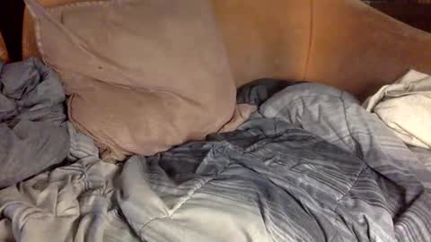 Snapshot of stevemason718 chatting on 20, 2, 2025 STEVE CASHMASTER 1comedia online show from 20, 2, 2025