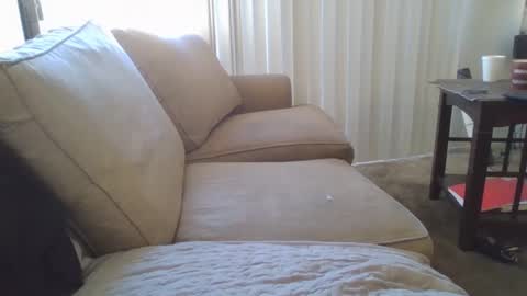 Snapshot of steven903625 chatting on 17, 12, 2024 steven903625 online show from 17, 12, 2024