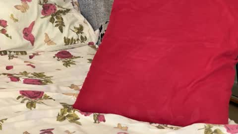 Chris online show from 14, 10, 2025