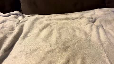 stiffrick682 online show from 7, 1, 2025