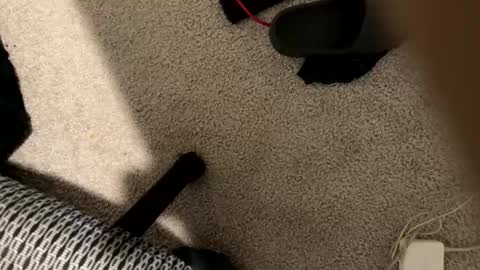 Snapshot of stilettodoll chatting on 18, 12, 2025 StilettoDoll online show from 18, 12, 2025
