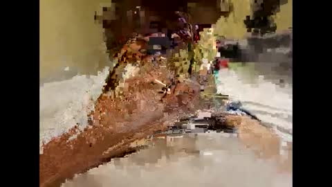 Snapshot of stittymike chatting on 16, 12, 2024 stittymike online show from 16, 12, 2024