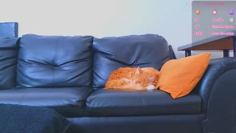 Stiven Montiel online show from 9, 1, 2026