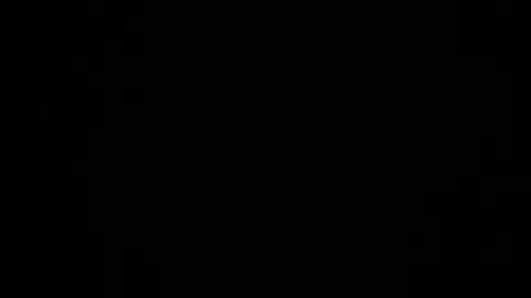 stockungs online show from 3, 12, 2025