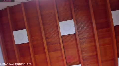 Stone Lee  online show from 22, 1, 2025