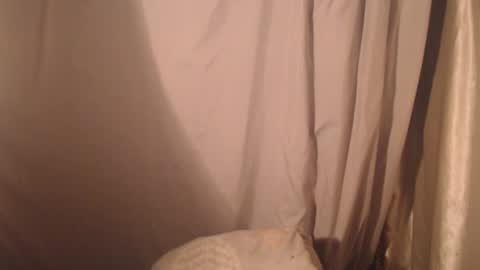 Snapshot of stonenipple chatting on 28, 10, 2025 stonenipple online show from 28, 10, 2025