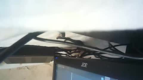 strangerdanger_2 online show from 9, 1, 2026