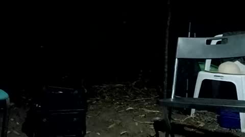 Bigdickdugan online show from 12, 2, 2025