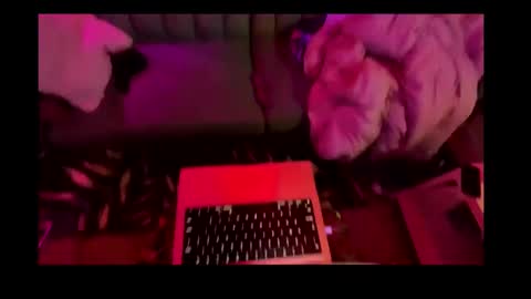 studio4three online show from 26, 2, 2025