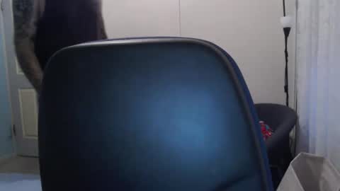 stugang online show from 17, 2, 2026