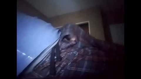 suavecito123828379 online show from 17, 1, 2026