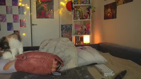 succubus_66 online show from 12, 2, 2025