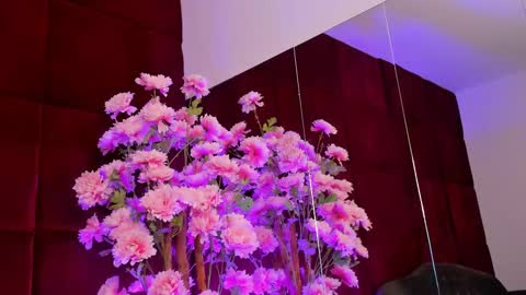 Snapshot of sugar_maple chatting on 26, 9, 2025 Sugar online show from 26, 9, 2025