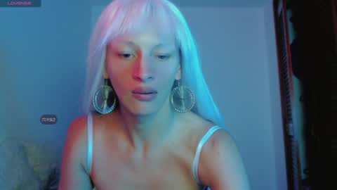 Summer online show from 1, 1, 2025