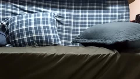 Snapshot of super_dave88 chatting on 28, 9, 2025 Super dave88 online show from 28, 9, 2025