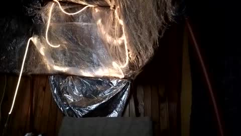 super jony and Marta GMT 1300-1800 every day online show from 1, 10, 2025