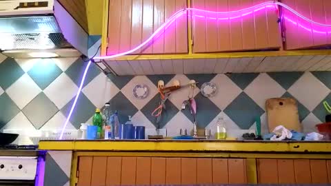 super jony and Marta GMT 1300-1800 every day online show from 13, 11, 2025