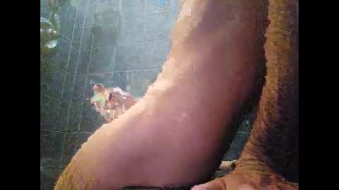 surferxzx online show from 27, 1, 2025