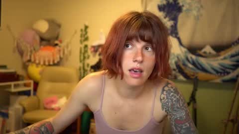   online show from 14, 3, 2026