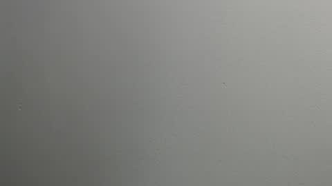 Snapshot of sussy_leon chatting on 28, 1, 2025 sussy leon online show from 28, 1, 2025