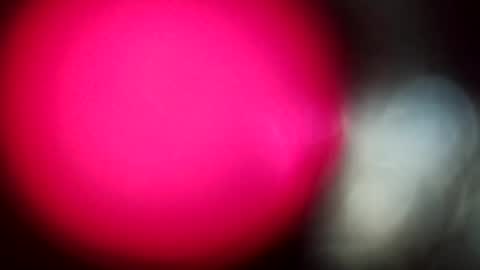 My name is Sissy or more fully Suzanna Aprilia Maria Mariquita Catarina Chinita Banci. Soy una puta - que chimba ladybug online show from 28, 2, 2026