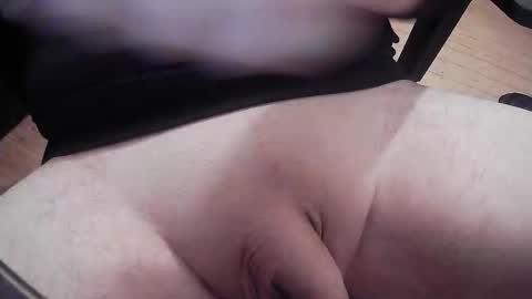 swallowtscum online show from 7, 3, 2026