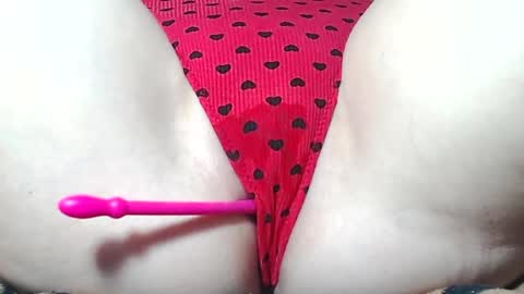 Kitten online show from 2, 4, 2026