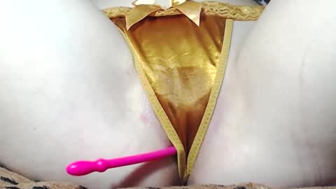 Kitten online show from 16, 5, 2026