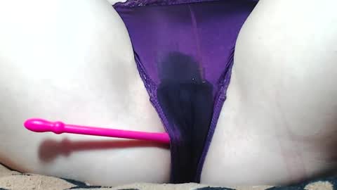 Kitten online show from 3, 6, 2026