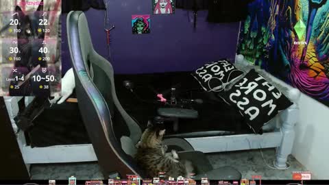 elizabeth grey online show from 20, 9, 2025