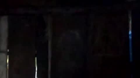 sweet_nessa30 online show from 10, 2, 2026