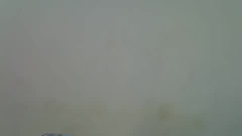 Alura online show from 30, 11, 2025