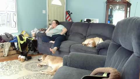 DJ  M 489 Babygirl  F 37 online show from 6, 2, 2025