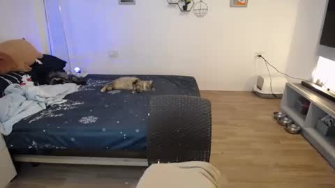 angel 3 online show from 21, 1, 2025