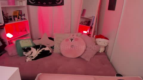 Snapshot of sweetdeemon chatting on 25, 12, 2024 Vernica Help me to reach 80 likes thank you online show from 25, 12, 2024