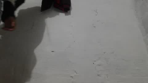 Camilo online show from 1, 2, 2026