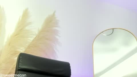 Snapshot of sweetmegan1_ chatting on 28, 5, 2026 La online show from 28, 5, 2026