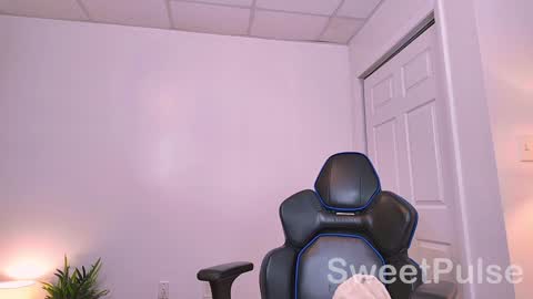 Rose online show from 23, 12, 2024