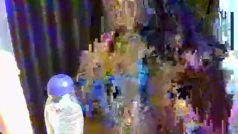 sweet online show from 17, 12, 2025